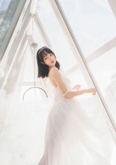 新七龙珠