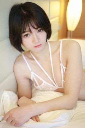 扶弟魔电视剧全集完整版